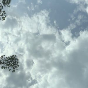 Meet your Posher, Darby